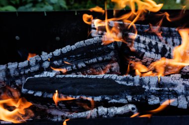 Kömürün üzerinde et pişirmek için ızgarada odun yakıyorum.