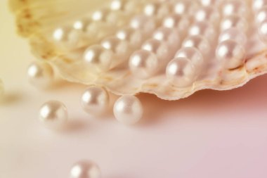 Güzel beyaz inciler bir istiridye kabuğunda fotoğraflanır. Görüntü lüks ve zarafet hissi verir.