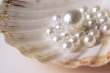 Güzel beyaz inciler bir istiridye kabuğunda fotoğraflanır. Görüntü lüks ve zarafet hissi verir.