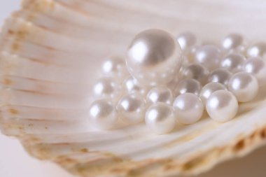 Güzel beyaz inciler bir istiridye kabuğunda fotoğraflanır. Görüntü lüks ve zarafet hissi verir.