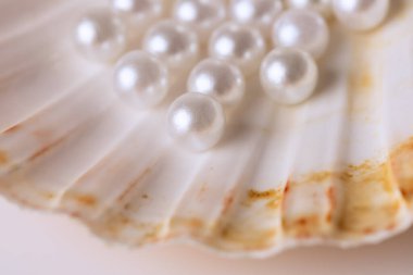 Güzel beyaz inciler bir istiridye kabuğunda fotoğraflanır. Görüntü lüks ve zarafet hissi verir.