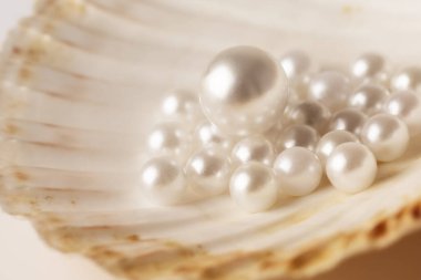 Güzel beyaz inciler bir istiridye kabuğunda fotoğraflanır. Görüntü lüks ve zarafet hissi verir.