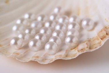 Güzel beyaz inciler bir istiridye kabuğunda fotoğraflanır. Görüntü lüks ve zarafet hissi verir.