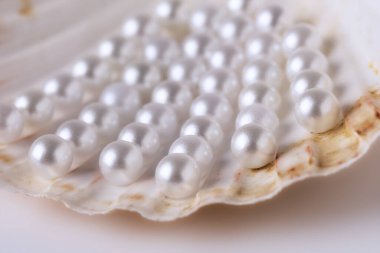 Güzel beyaz inciler bir istiridye kabuğunda fotoğraflanır. Görüntü lüks ve zarafet hissi verir.