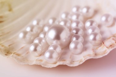 Güzel beyaz inciler bir istiridye kabuğunda fotoğraflanır. Görüntü lüks ve zarafet hissi verir.