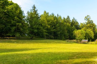 Ormanda güzel yeşil bir çayır yayılıyor, mavi gökyüzünün altında eski Ukrayna evleri, Eski Ukrayna mimarisinin ulusal parkı