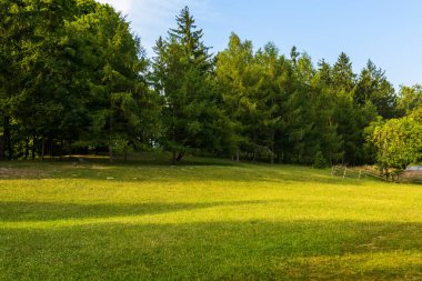Ormanda güzel yeşil bir çayır yayılıyor, mavi gökyüzünün altında eski Ukrayna evleri, Eski Ukrayna mimarisinin ulusal parkı