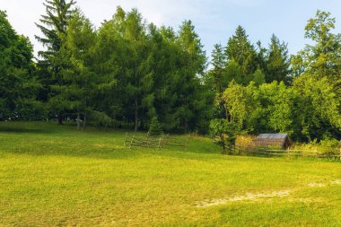 Ormanda güzel yeşil bir çayır yayılıyor, mavi gökyüzünün altında eski Ukrayna evleri, Eski Ukrayna mimarisinin ulusal parkı