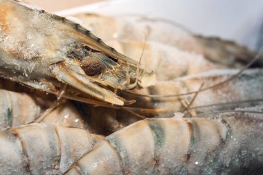 Donmuş çiğ karides, buz kristalleriyle yakın plan çekilmiş. ,