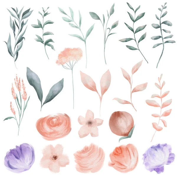 Conjunto Flores Color Rosa Púrpura Ramas Verdes Clipart Floral Simple — Foto de Stock