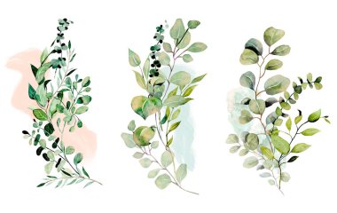Set of floral arrangements of greenery, eucalyptus branches and watercolor stains, isolated illustrations on a white background