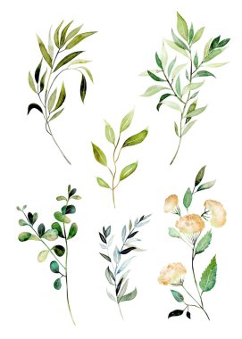 Collection of watercolor greenery branches, botanical elements isolated on white background