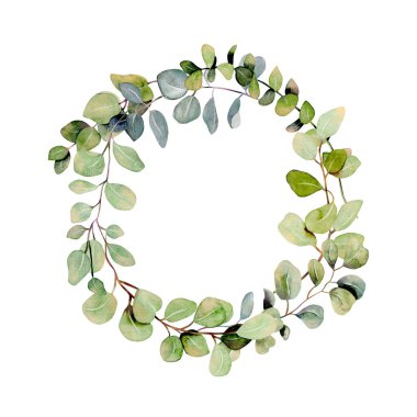 Suluboya okaliptüs dalları çelengi, beyaz bir arka planda el çizimi.