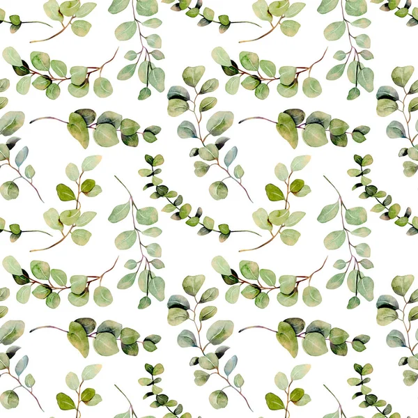 Seamless pattern of watercolor eucalyptus branches, illustration on a white background