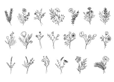 Botanik soyut sanat, el çizimi bitkiler, çiçekler, yapraklar ve dallar, vektör illüstrasyonu