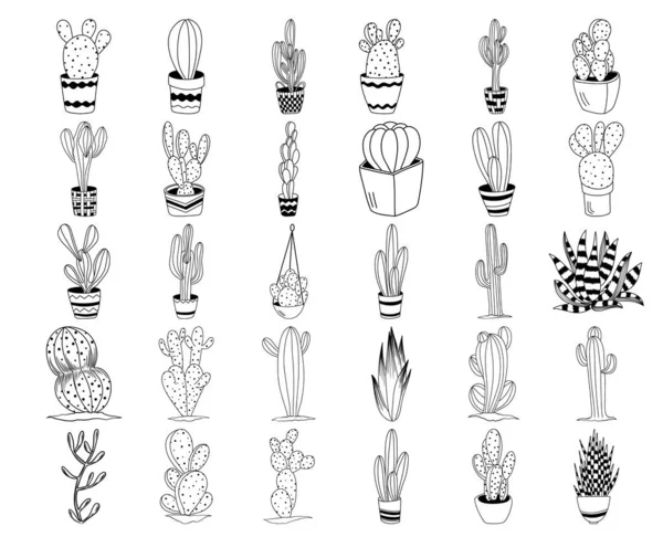 Conjunto Plantas Cactus Cactus Desérticos Macetas Ilustración Vectorial Garabatos Dibujada — Vector de stock