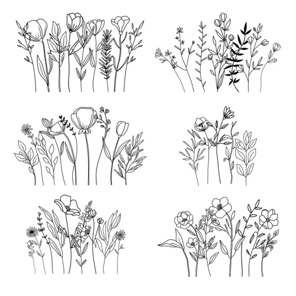 Composición Botánica Abstracta Del Arte Línea Borde Floral Mínimo Hierbas — Vector de stock
