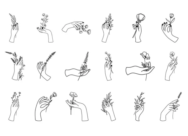Γυναικεία Χέρια Λουλούδια Μινιμαλιστικό Γραμμικό Ύφος Διανυσματική Απεικόνιση Χειρονομίες Που — Διανυσματικό Αρχείο