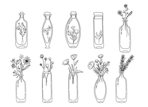 Klasik Cam Şişelerdeki Kır Çiçekleri Kavanozdaki Çiçekler Botanik Klipsleri Basit — Stok Vektör