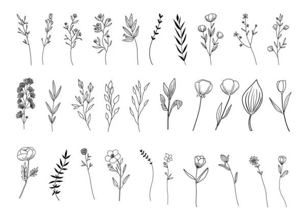 Βοτανικές Αφηρημένες Τέχνες Γραμμής Χειροποίητα Βότανα Λουλούδια Φύλλα Και Κλαδιά — Διανυσματικό Αρχείο