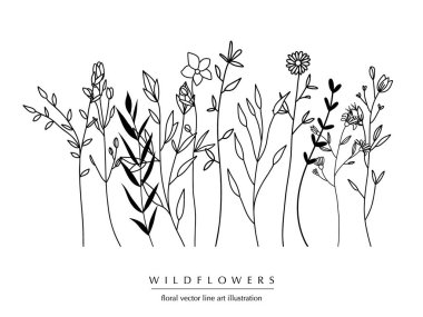 El yapımı bitkilerin, çiçeklerin, yaprakların ve dalların olduğu botanik ve soyut bir çizgi; vektör çizimi;