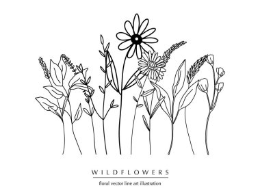 El yapımı bitkilerin, çiçeklerin, yaprakların ve dalların olduğu botanik ve soyut bir çizgi; vektör çizimi;