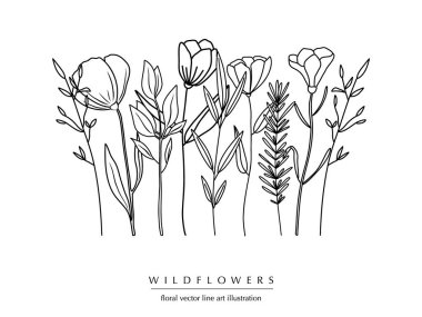 Botanik soyut sanat kompozisyonu, el yapımı otların, çiçeklerin, yaprakların ve dalların en az çiçek sınırı; vektör illüstrasyonu