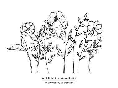 Botanik soyut sanat kompozisyonu, el yapımı otların, çiçeklerin, yaprakların ve dalların en az çiçek sınırı; vektör illüstrasyonu