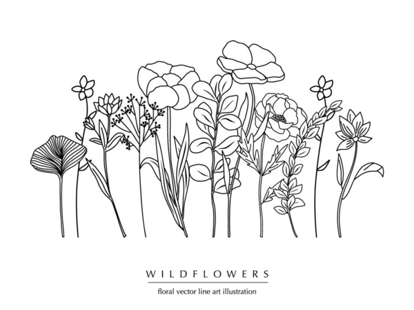 Botaniczna Abstrakcyjna Kompozycja Sztuki Dzikimi Kwiatami Minimalna Kwiatowa Granica Ręcznie — Wektor stockowy