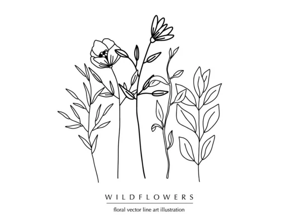 Botanisch Abstrakte Linienkunstkomposition Mit Wildblumen Minimalem Floralen Rand Aus Handgezeichneten — Stockvektor