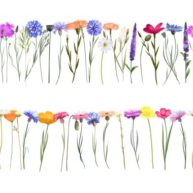Çiçeklerin suluboya çiçekleri ve diğer kır çiçeklerinin kusursuz sınırı beyaz arka planda izole edilmiş çizimler.