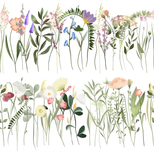Płynna Granica Kwiatowa Łąk Akwarelowych Dzikich Kwiatów Pojedyncze Ilustracje Białym — Zdjęcie stockowe