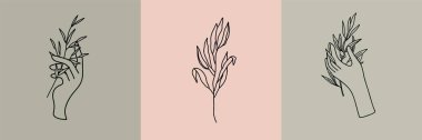 Asgari doğrusal tarzda botanik çizimlerin vektör kümesi, dalları olan kadın elleri, minimalist modern çiçek logosu