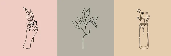 Set Illustrazioni Botaniche Vettoriali Stile Minimale Lineare Logo Floreale Moderno — Vettoriale Stock