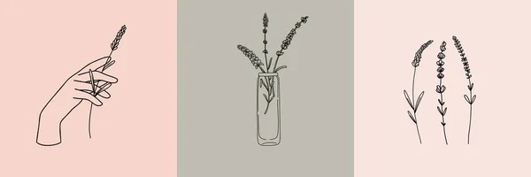 最小限の線形スタイルで植物イラストのベクトルセット ラベンダーの花のイラストセット ミニマルな現代の花のロゴ — ストックベクタ