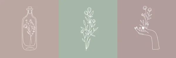 Conjunto Vetorial Ilustrações Botânicas Estilo Linear Mínimo Logotipo Floral Moderno — Vetor de Stock