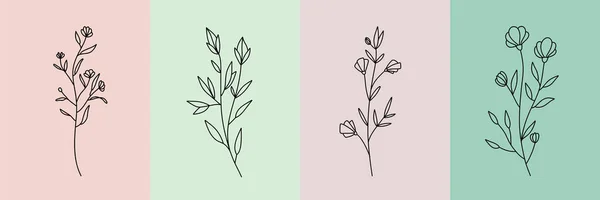Conjunto Vectorial Ilustraciones Botánicas Estilo Lineal Minimalista Flores Silvestres Elegantes — Vector de stock