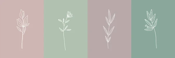 벡터의 식물학적 삽화들 최소한의 손으로 야생화 최소한의 꽃들의 — 스톡 벡터