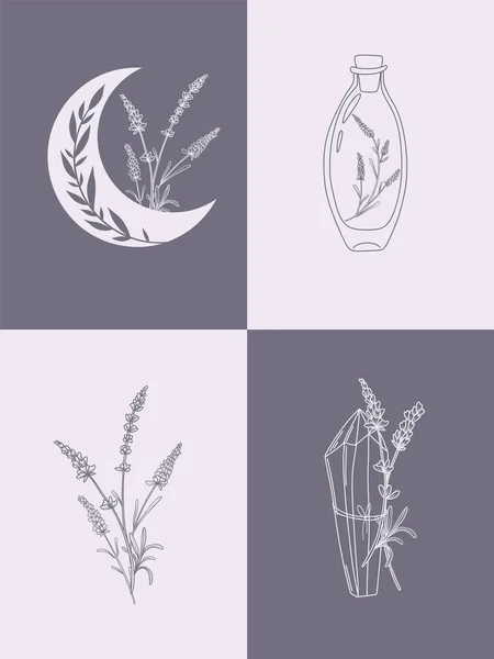 Conjunto Vectorial Ilustraciones Botánicas Estilo Lineal Minimalista Conjunto Ilustración Flores — Vector de stock