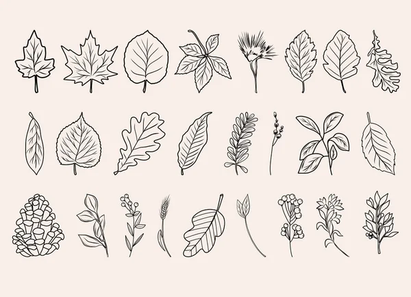 Artes Línea Botánica Otoño Plantas Otoño Dibujadas Mano Flores Hojas — Archivo Imágenes Vectoriales