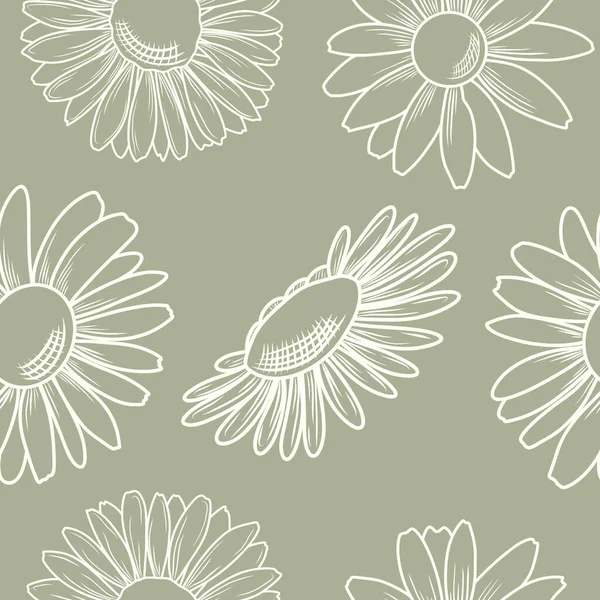 Безшовний Квітковий Векторний Візерунок Ромашкові Квіти Фоні Мінімального Стилю Намальовані — стоковий вектор