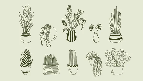 Set Houseplants Pots Home Garden Hand Drawn Home Ornamental Plants — Stock Vector
