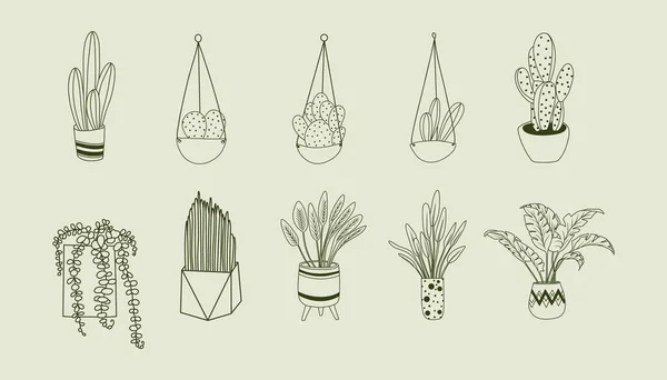 Σύνολο Φυτών Εσωτερικού Χώρου Γλάστρες Οικιακός Κήπος Χειροποίητη Εικονογράφηση Φορέα — Διανυσματικό Αρχείο