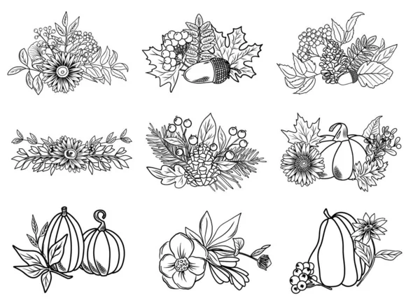 Autumn Botanical Line Art Composiciones Florales Plantas Otoño Dibujadas Mano — Vector de stock