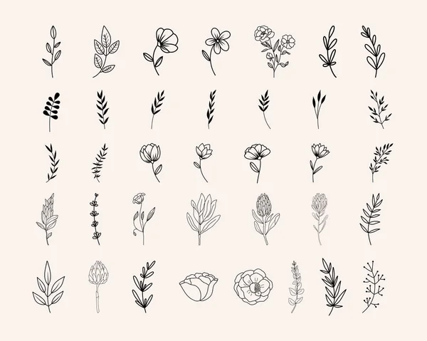 Línea Botánica Arte Clipart Hierbas Dibujadas Mano Flores Hojas Ramas — Vector de stock
