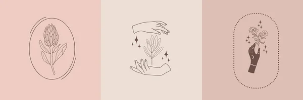 Vector Set Mystical Illustrations Female Hands Magic Flowers Minimal Celestial — Stock Vector