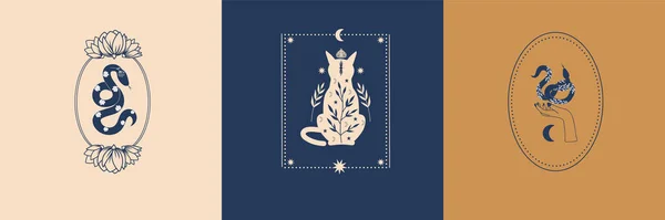 Vector Set Mystical Illustrations Witchy Hands Cat Moon Snakes Witchcraft —  Vetores de Stock