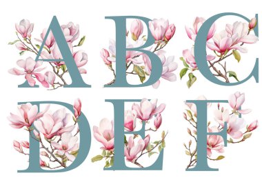 Bahar manolya çiçekli A-F harfleri, beyaz arka planda izole edilmiş illüstrasyon, düğün monogramı, tebrik kartları, logo.
