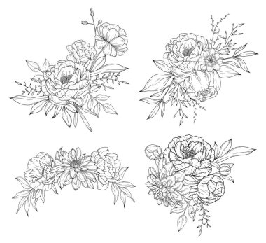 Şakayık çiçek buketleri ve çiçek kompozisyonları koleksiyonu, el çizimi botanik çizimi sanat çizimi, vektör çiçek çizimi
