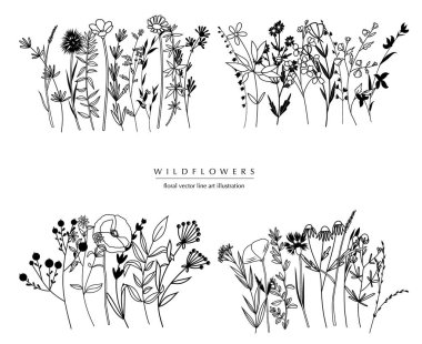 Botanik soyut sanat kompozisyonları, el yapımı otların, çiçeklerin, yaprakların ve dalların minimum çiçek sınırları; vektör illüstrasyonları